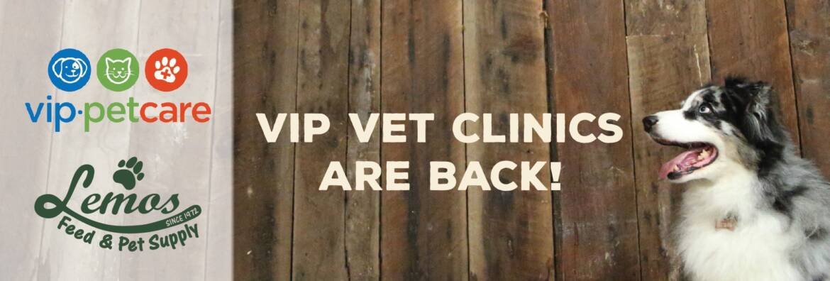 Lemos-Webslider_VIPVetClinics.jpeg